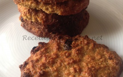 Galletas de avena, manzana y pasas de uva galletas ded avena