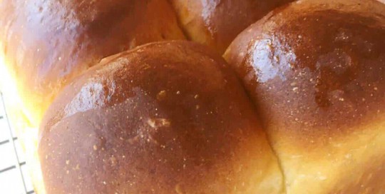 Pan para chips o pebetes pan para chips