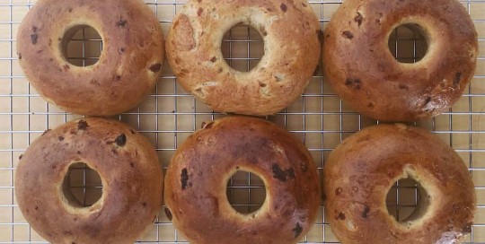 Bagels de canela y pasas de uva bagels canela y pasas