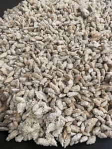 Semillas de Girasol garrapiñadas