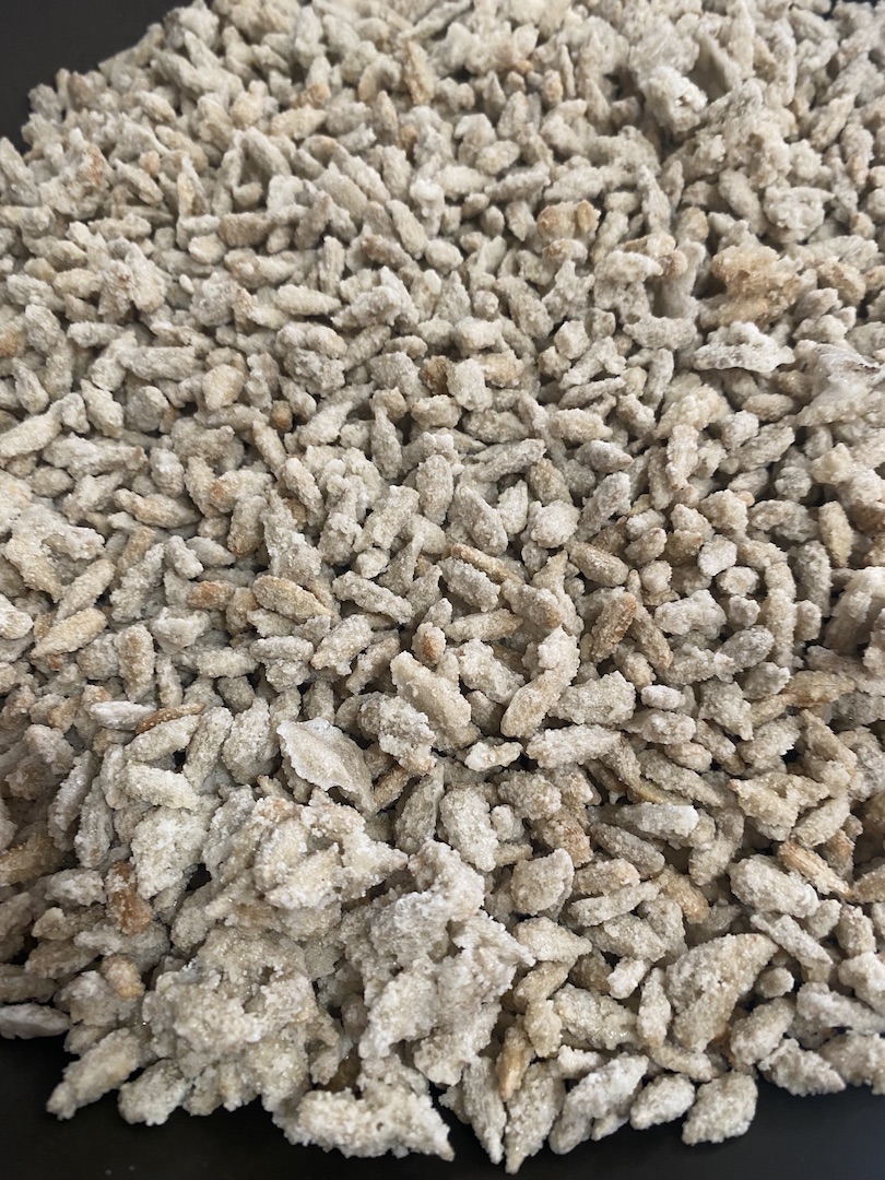 Semillas de Girasol garrapiñadas Semillas de Girasol garrapiñadas