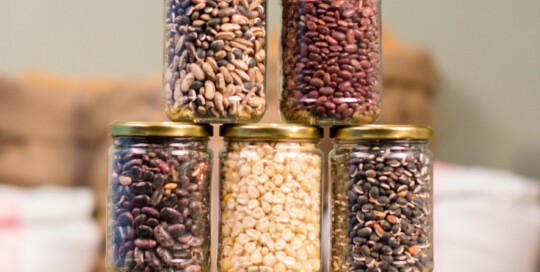 ¿Es Necesario Lavar las Legumbres en Conserva? ¿Es Necesario Lavar las Legumbres en Conserva?